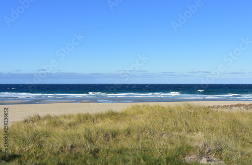 Wild beach with grass  sand dunes and blue sea with waves and foam. Clear sky  sunny day. Galicia  Spain.