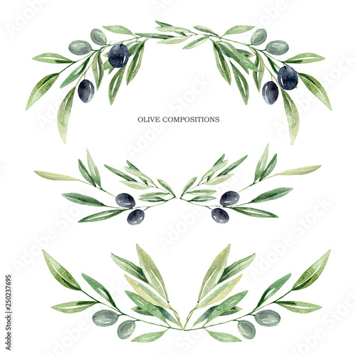 фотографія watercolor olive brunches