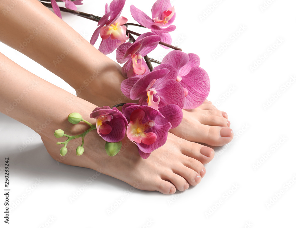 Legs of young woman with beautiful pedicure and flowers on white background Legs of young woman with beautiful pedicure and flowers on white background