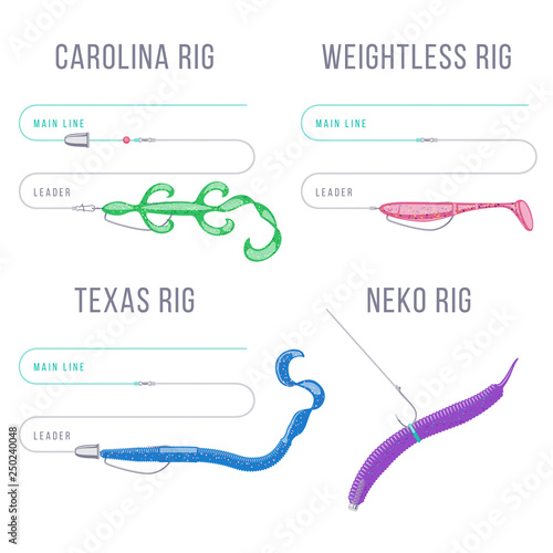 Finesse rigs for bass fishing