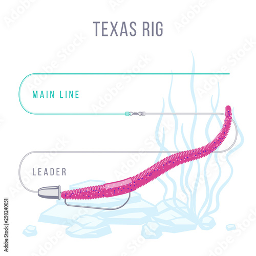 Texas rigged soft plastic bait for bass