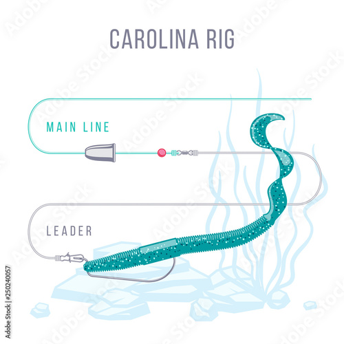 Carolina rigged soft plastic bait for bass