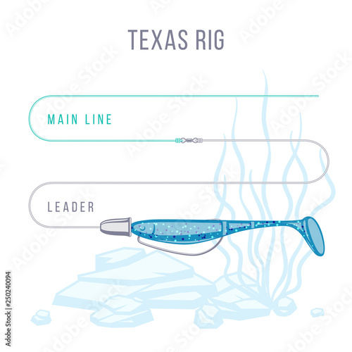 Texas rigged sort plastic bait fishing setup for bass
