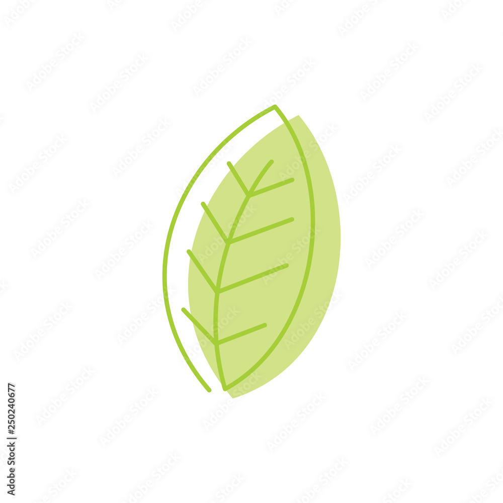 Leaf Logo Design Vector Template Isolated Leaf Logo Design Vector Template Isolated