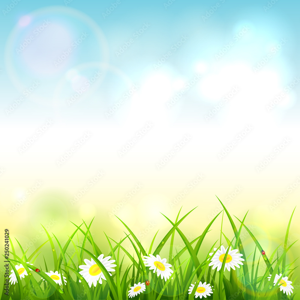 Blue Spring or Summer Nature Background with Grass and Flowers