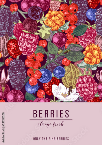 Vertical banner with berries