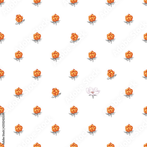 Seamless pattern with hand drawn cloudberries
