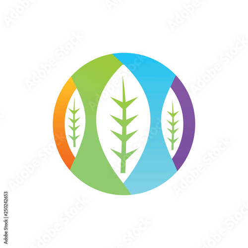 Leaf Logo Design Vector Template Isolated