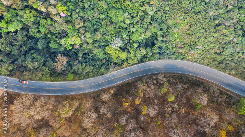 Aerial top view of a road in the forest, The concept of Dry forests and green forests