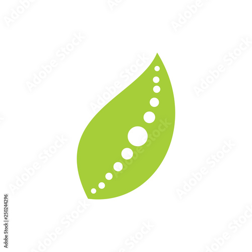 Leaf Logo Design Vector Template Isolated