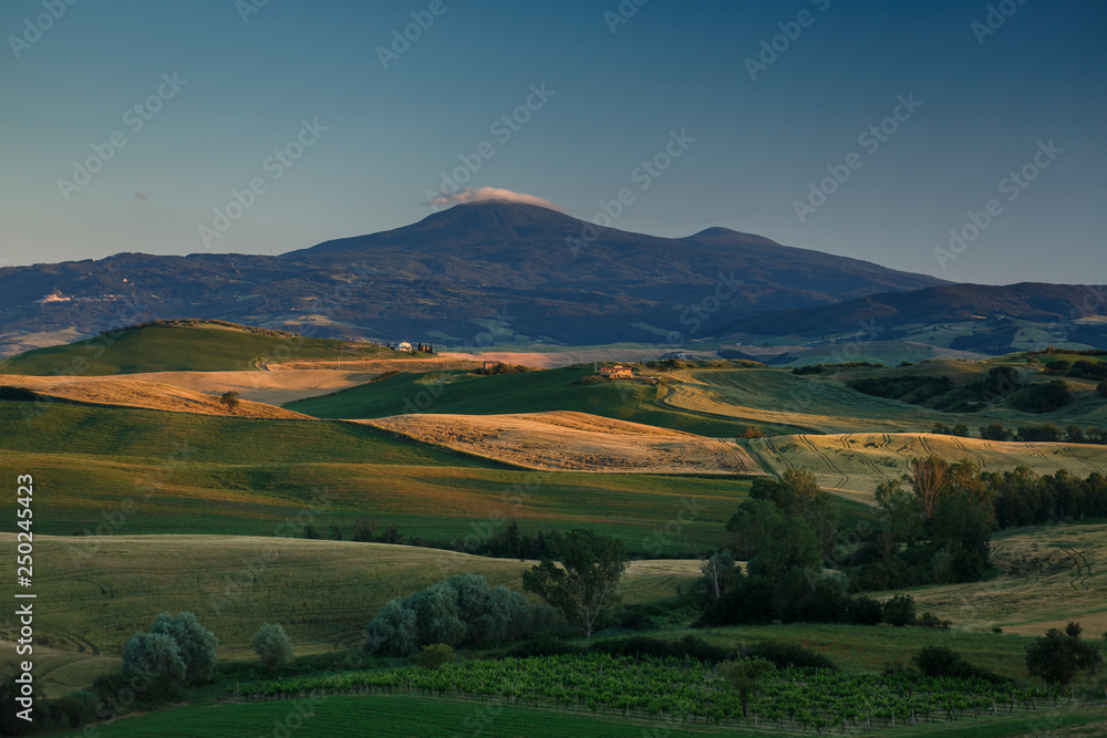 Obraz premium Rolling hills in Tuscany, Val D'Orcia