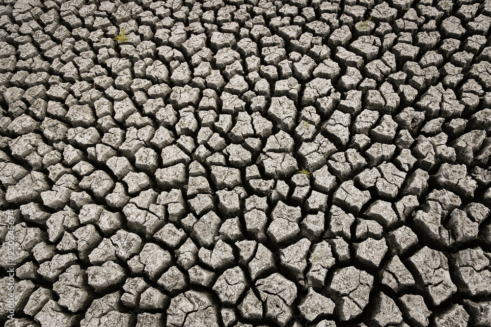 Concept of global warming, hot and dry climate,change climate,land for perennial crops Concept of global warming, hot and dry climate,change climate,land for perennial crops