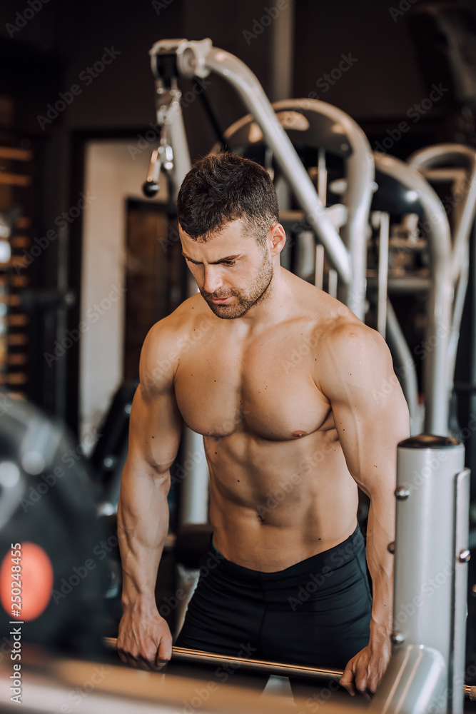 Young adult bodybuilder doing weight lifting in gym Young adult bodybuilder doing weight lifting in gym