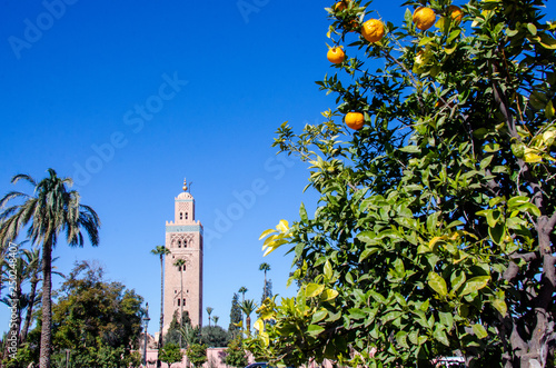 Koutoubia Moschee in Marrakesch, Marokko mit Mandarinen photo