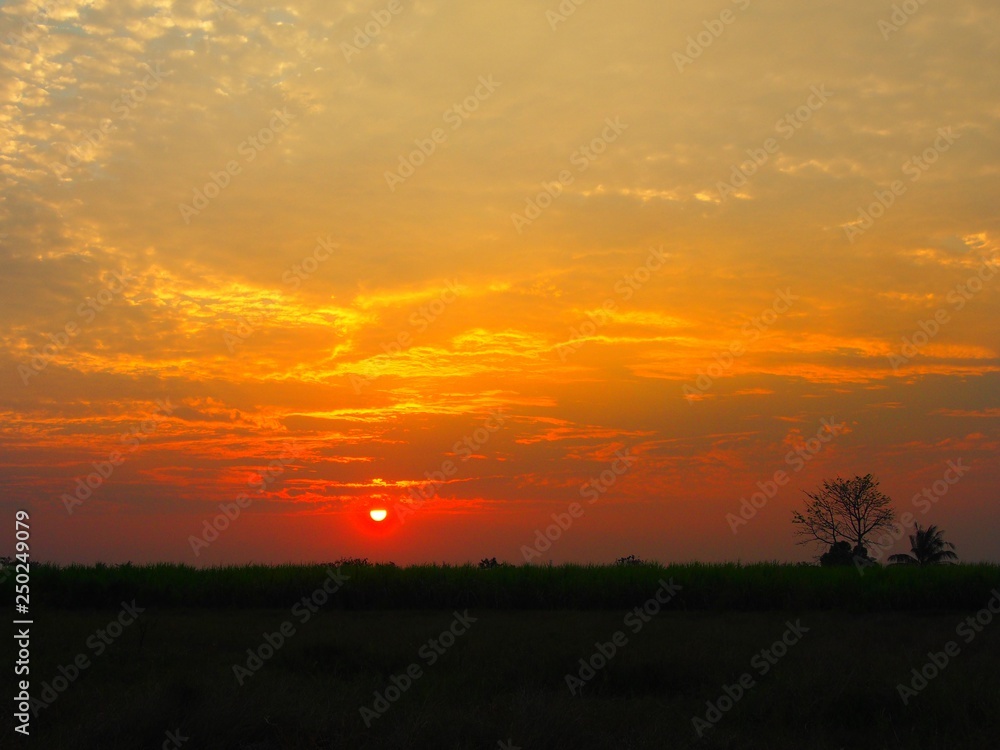 sunset over green field