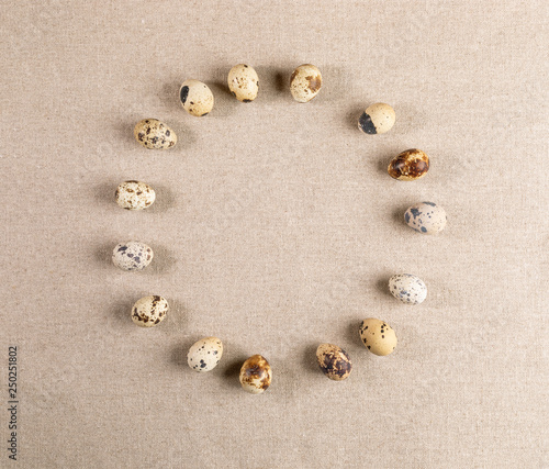 Spotted quail eggs lies in circle on rough rustic canvas. 