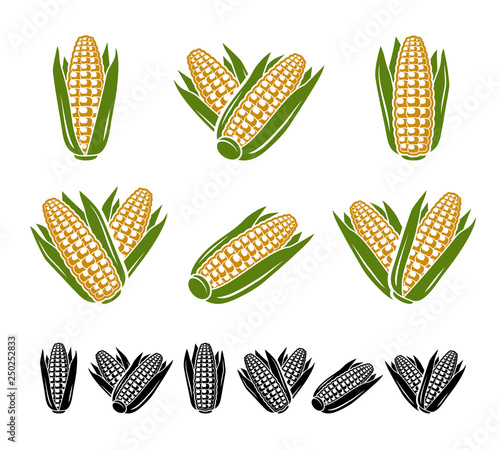 Corn set. Collection icon corn. Vector