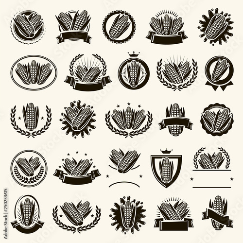 Corn label and element set. Collection icon corn. Vector