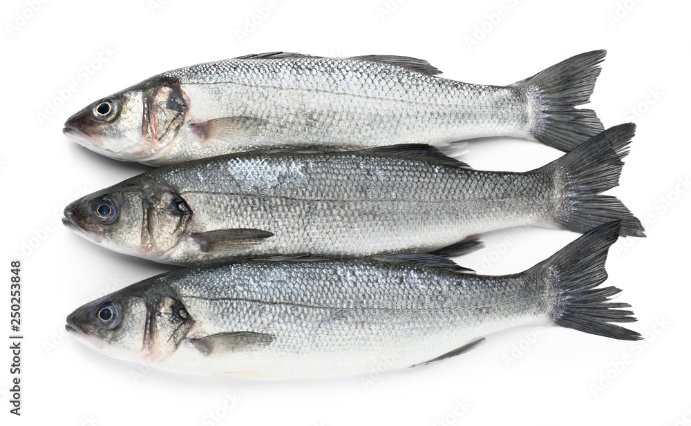 Tasty fresh seabass fish on white background Tasty fresh seabass fish on white background