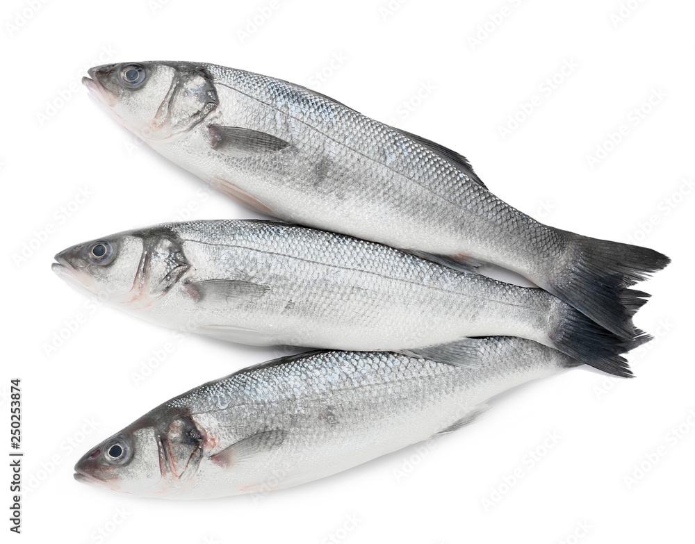 Tasty fresh seabass fish on white background Tasty fresh seabass fish on white background