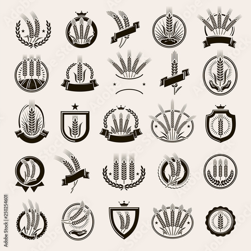 Ears of wheat and rye label and element set. Vector