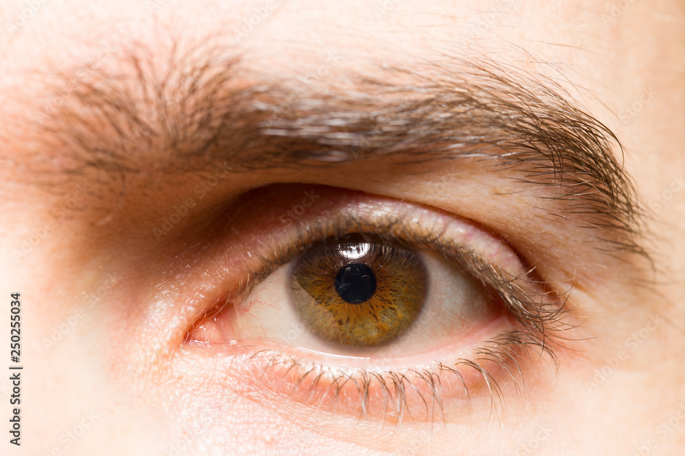 Extreme close-up portrait of male with brown eye Extreme close-up portrait of male with brown eye