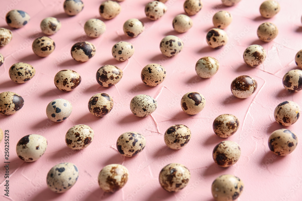 Many quail eggs on color table