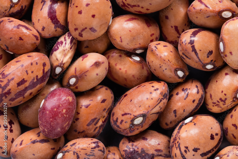 High quality seeds of phaseolus borlotto, legumes in a texture form for your personal garden. Can be used by seed producers for create contrast packaging with seed on background. High quality seeds of phaseolus borlotto, legumes in a texture form for your personal garden. Can be used by seed producers for create contrast packaging with seed on background.