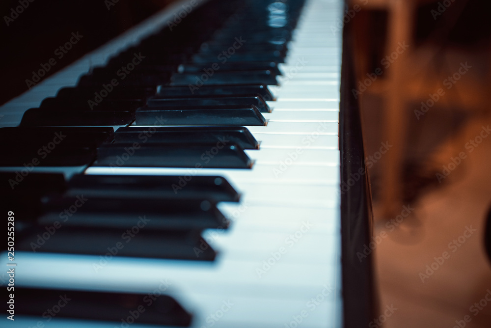 Сlose-up of piano keys. Сlose frontal view Сlose-up of piano keys. Сlose frontal view