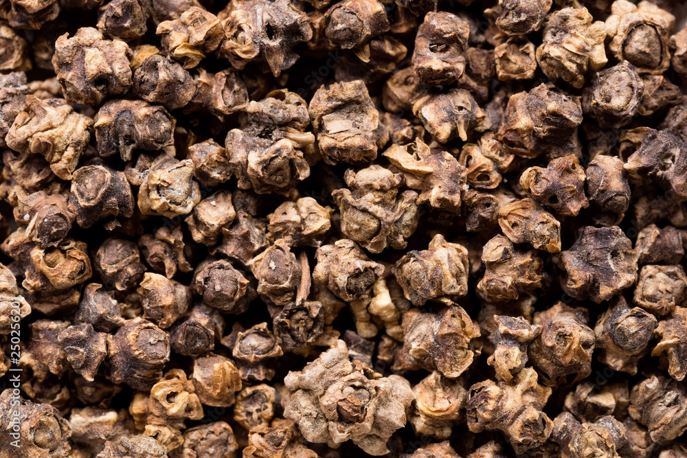 High quality seeds of mangold, vegetable in a texture form for your unique garden. Can be used by seed producers for create gorgeous packaging with seed on background. High quality seeds of mangold, vegetable in a texture form for your unique garden. Can be used by seed producers for create gorgeous packaging with seed on background.