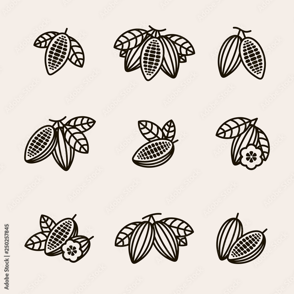 Cacao beans set. Vector Cacao beans set. Vector