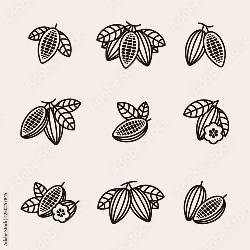Cacao beans set. Vector