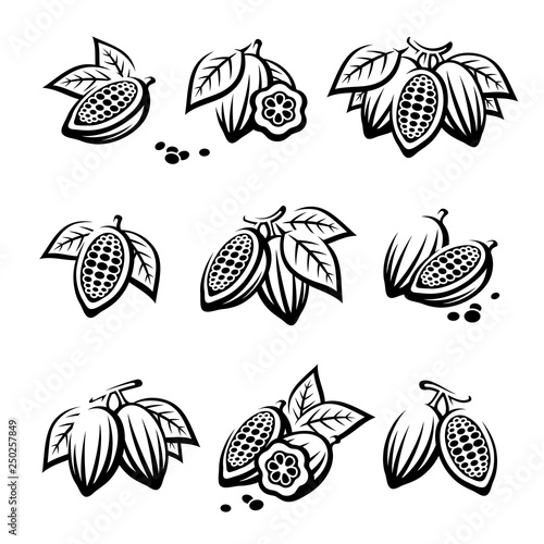 Cacao beans set. Vector