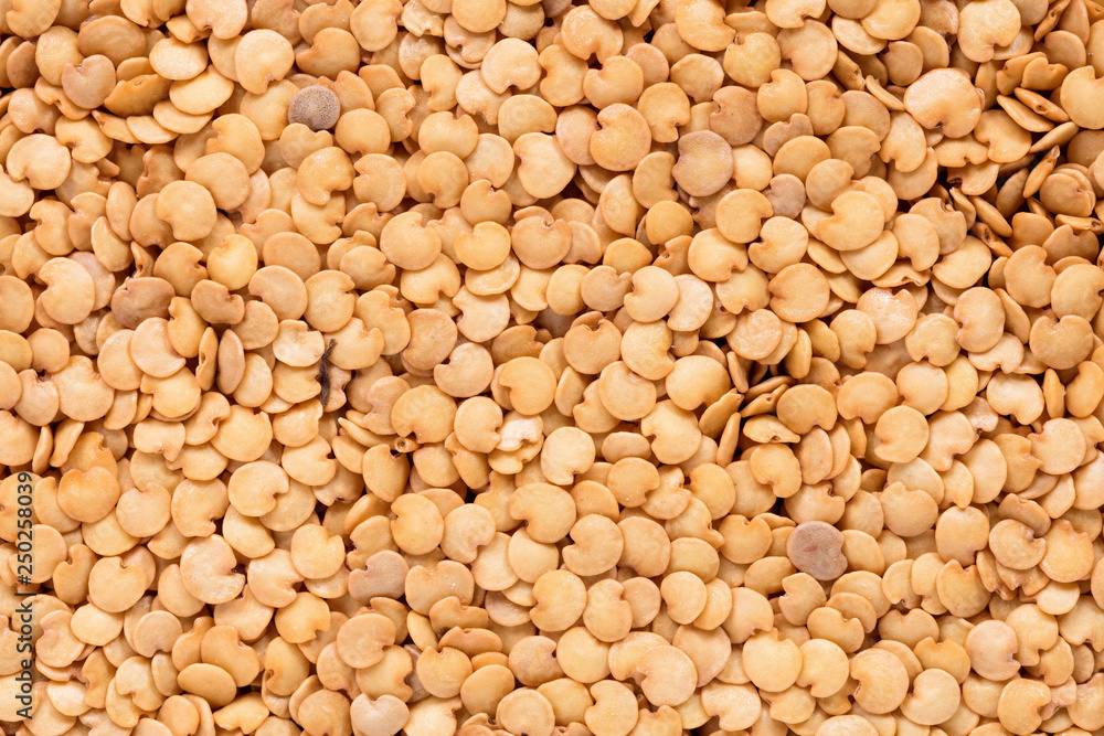 High quality seeds of eggplant, vegetable in a texture form for your awesome garden. Can be used by seed producers for create perfect packaging with seed on background. High quality seeds of eggplant, vegetable in a texture form for your awesome garden. Can be used by seed producers for create perfect packaging with seed on background.