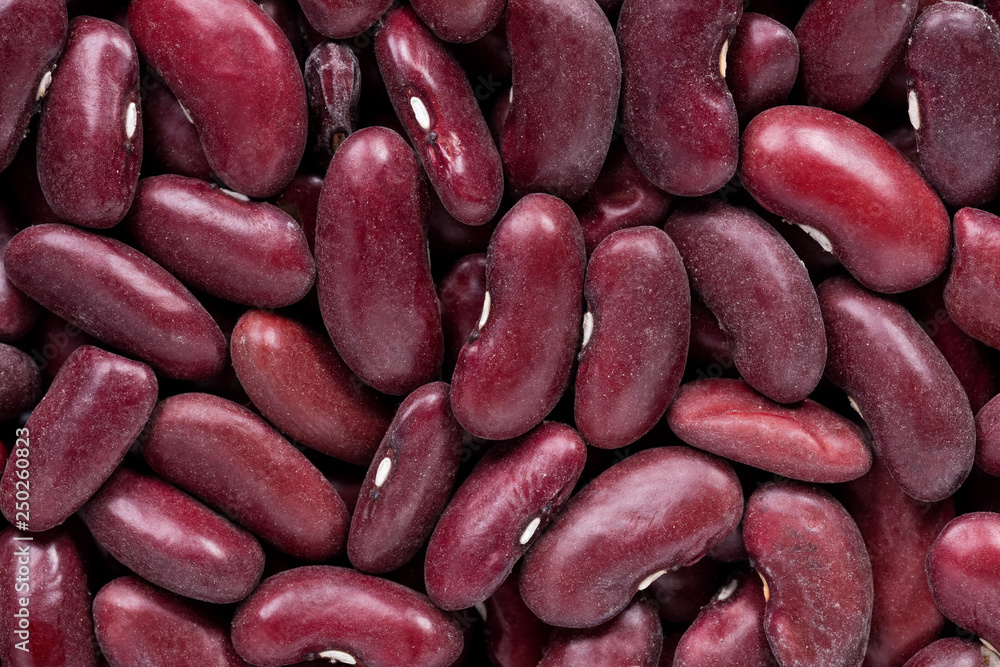 High quality seeds of beans in violet color, legumes in a texture form for your beautiful garden. Can be used by seed producers for create new packaging with seed on background. High quality seeds of beans in violet color, legumes in a texture form for your beautiful garden. Can be used by seed producers for create new packaging with seed on background.