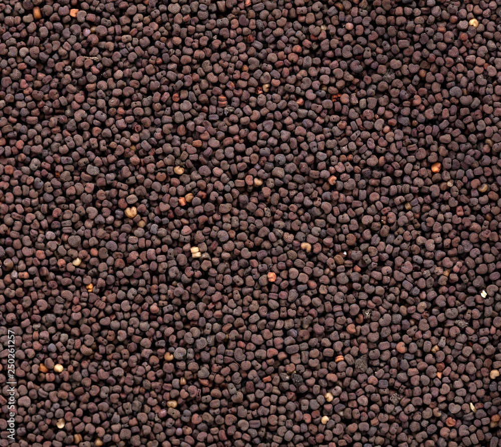 High quality seeds of silene vascaria, in a texture form for your beautiful garden. Can be used by seed producers for create new stylish packaging with seed on background. High quality seeds of silene vascaria, in a texture form for your beautiful garden. Can be used by seed producers for create new stylish packaging with seed on background.