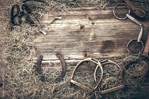 Tableau sur toile Horse equipments on wooden background with empty space for text, close up vintag
