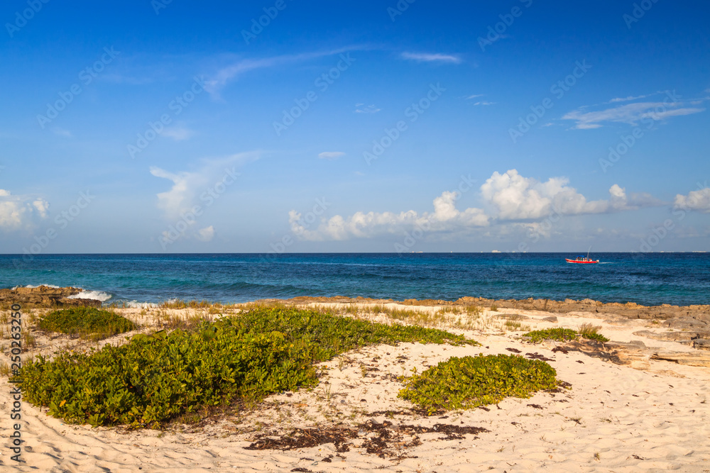 Beautiful Caribbean Sea beach in Playa del Carmen, Mexico