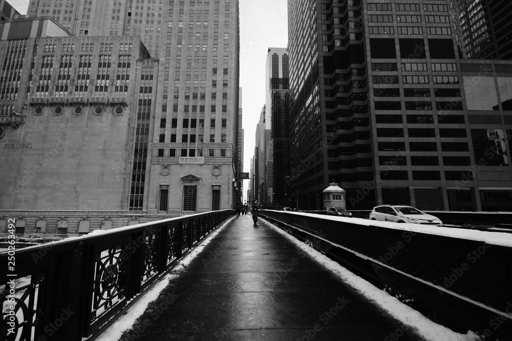 Obraz premium Chicago Downtown