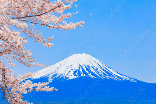 桜と富士山と河口湖