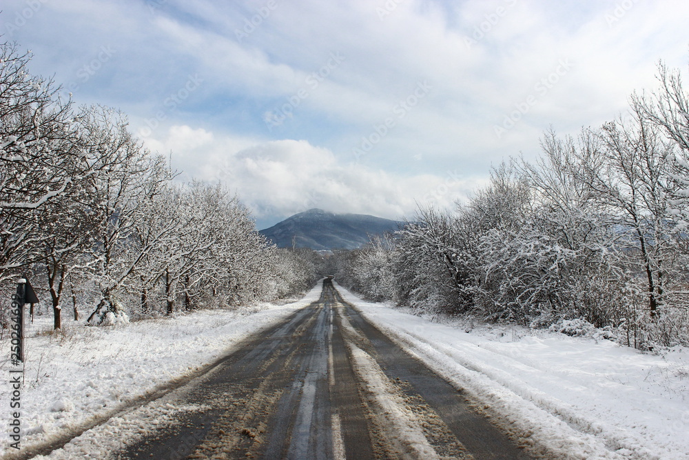 The road in the snow-covered forest The road in the snow-covered forest