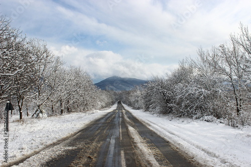 The road in the snow-covered forest 