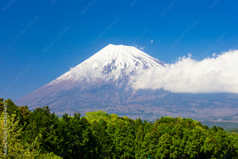 富士山と雲