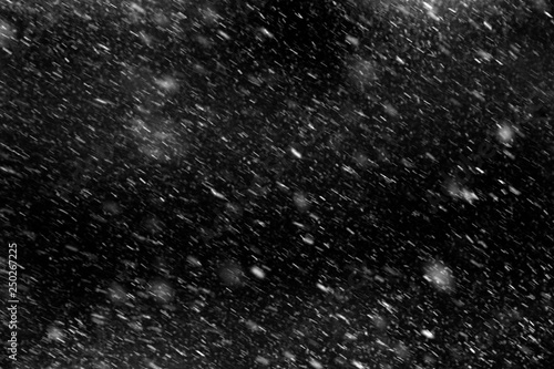 Falling real snowflakes, heavy snow photo