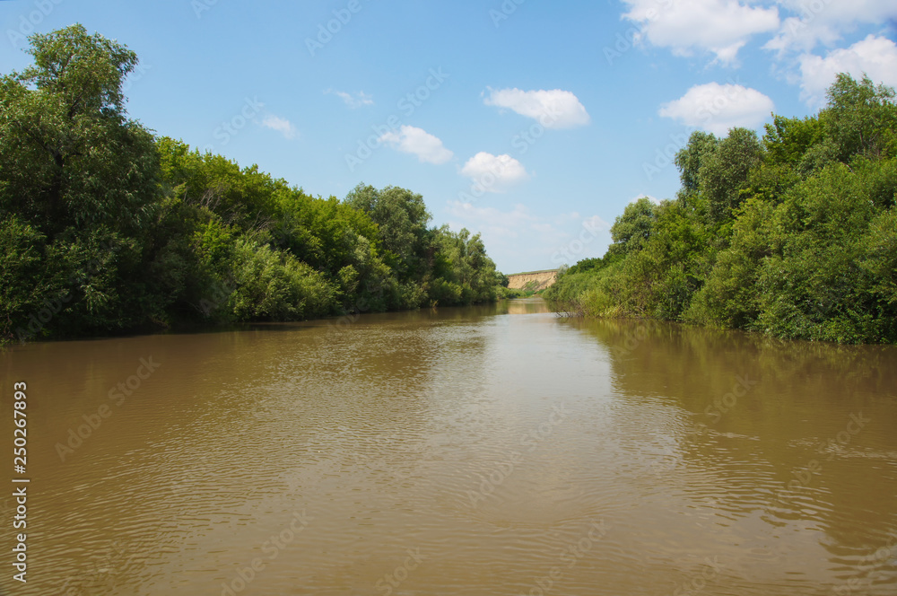 Obraz premium river