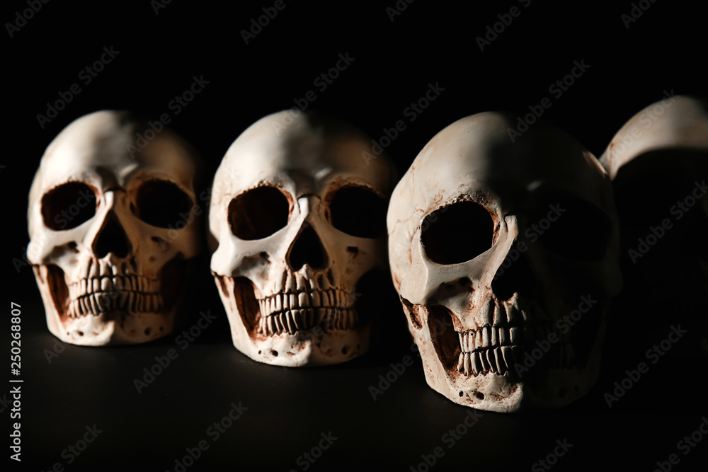 Human skulls on black background Human skulls on black background
