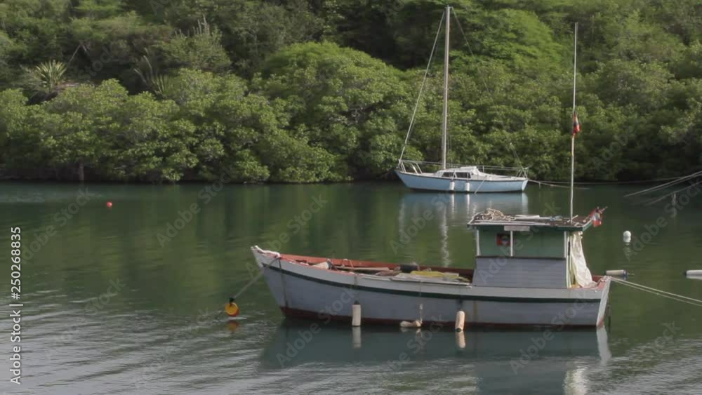 Boats in a mangrove bay on the Caribbean island Antigua Boats in a mangrove bay on the Caribbean island Antigua