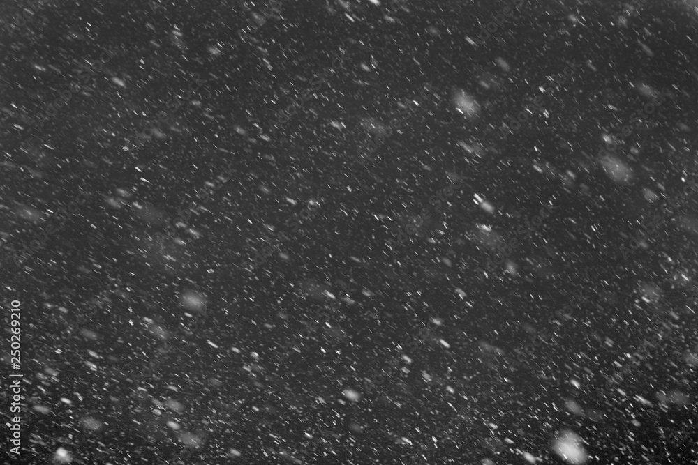 Falling real snowflakes, heavy snow Falling real snowflakes, heavy snow