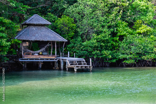 Pavilion on the sea in mangrove forest