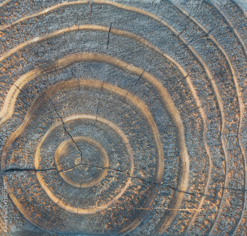 The natural texture and wood pattern of gnarl